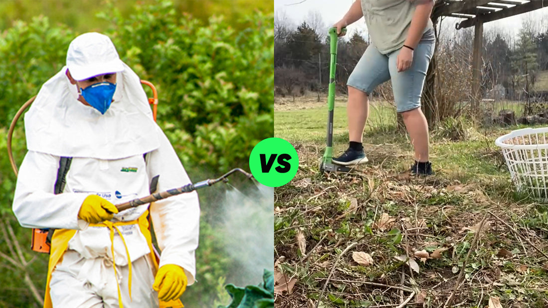 Hand Weeding vs. Herbicides: Why Pulling Weeds Is the Best Solution for Your Home Lawn