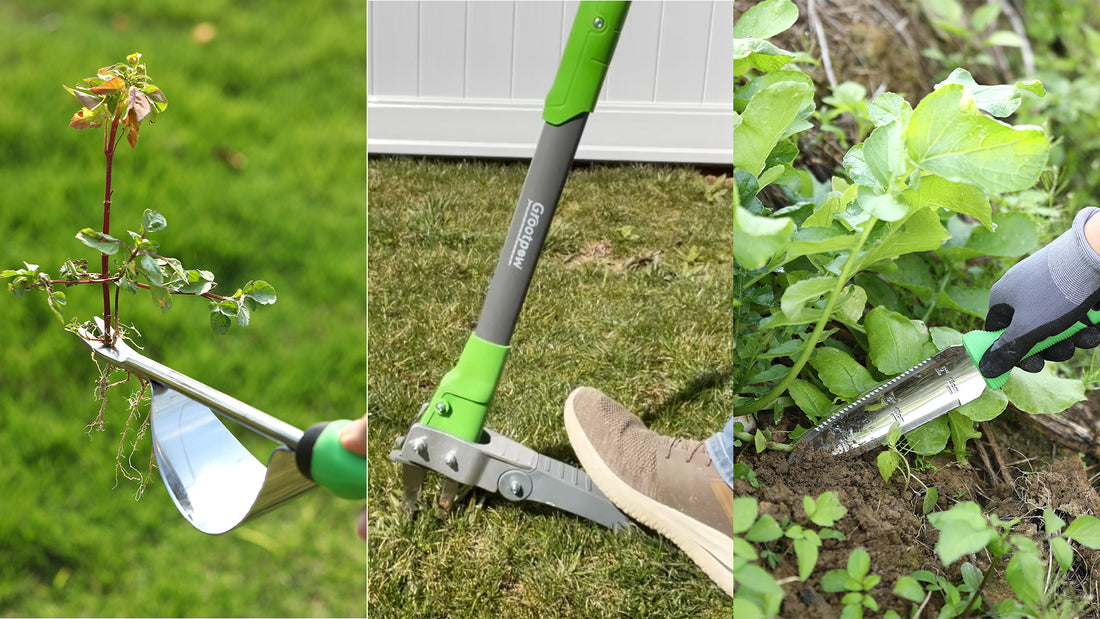 The Ultimate Guide to Manual Weed Pulling: How to Effectively Remove Weeds by Hand