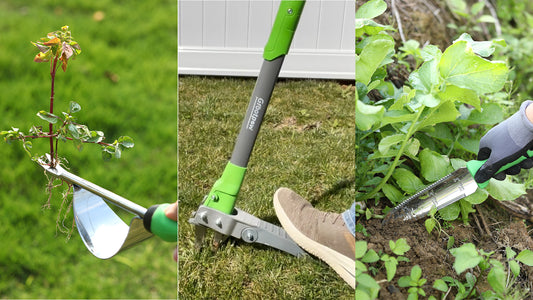 The Ultimate Guide to Manual Weed Pulling: How to Effectively Remove Weeds by Hand
